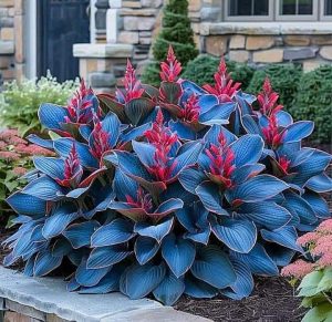 Хоста Грин Фог купить по цене от 669р. в интернет-магазине «Посадика» с доставкой почтой в в Северобайкальске и по всей России – [изображение №1].