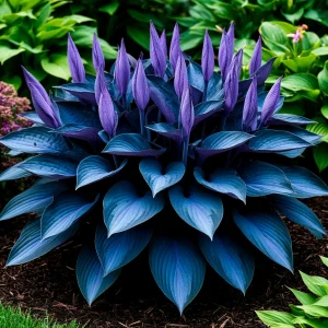 Хоста Сикрет Гров купить по цене от 570р. в интернет-магазине «Посадика» с доставкой почтой в в Северобайкальске и по всей России – [изображение №1].